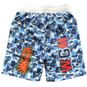 bp-shorts-690599.png