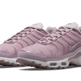 nike-air-max-plus-plum-fog-dj5421-500-1_800x_1271b3e4-88fd-4b5b-a761-71ae06cce853.png