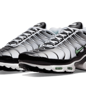 nike-tn-air-max-plus-seafoam-grey-black-dh4776-100-1_800x_2d1a0d88-0c5f-481c-bd99-f4eef36d7377.png