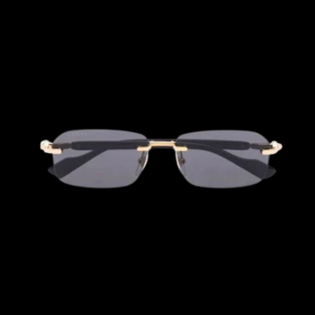 Sunglasses Gold/Black